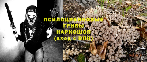 ПСИЛОЦИБИНОВЫЕ ГРИБЫ Нея