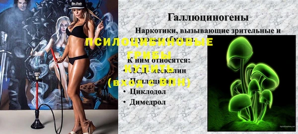 молекула духа Нефтекумск