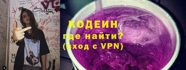 индика Мамадыш