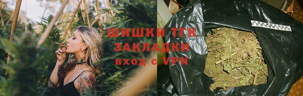 ECSTASY Новозыбков