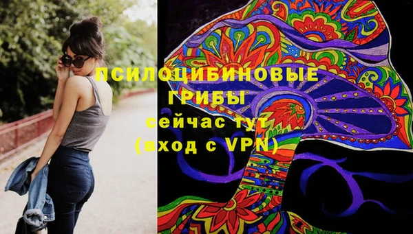 крисы Нефтегорск
