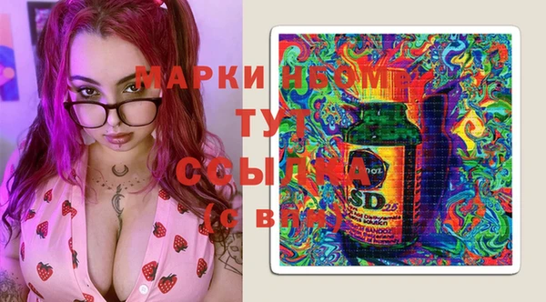 ECSTASY Новозыбков