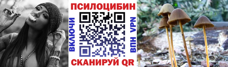 Галлюциногенные грибы MAGIC MUSHROOMS  где найти наркотики  KRAKEN рабочий сайт  Осташков 